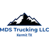 Logotipo del cliente corporativo MDS Trucking LLC diseñado por Lumaa Studio